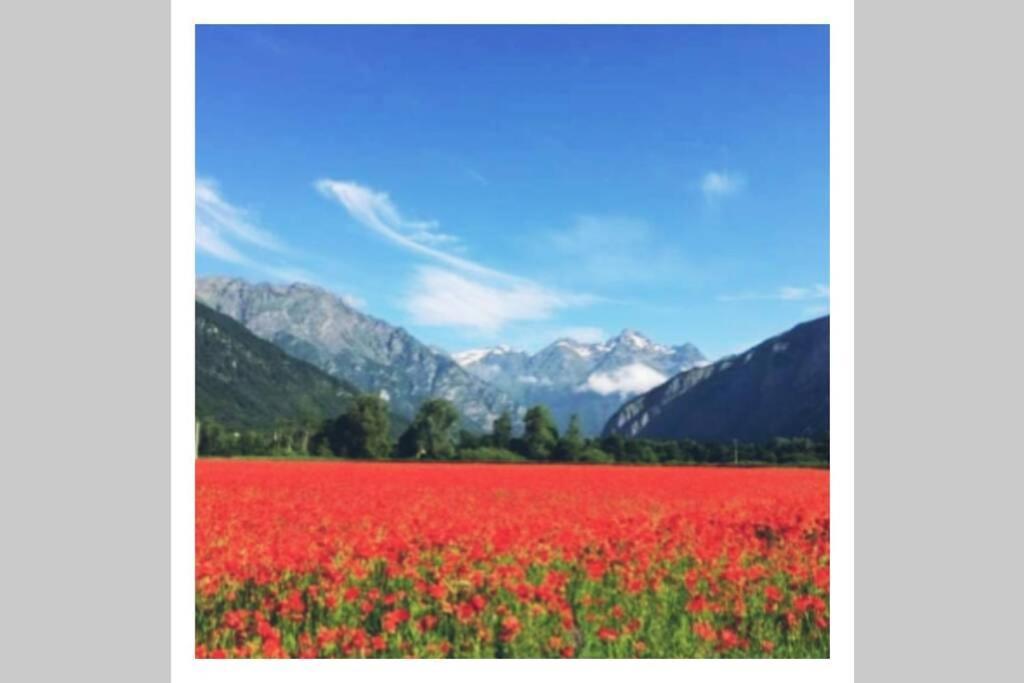 Le Bourg-dʼOisansL'Edelweis公寓 外观 照片